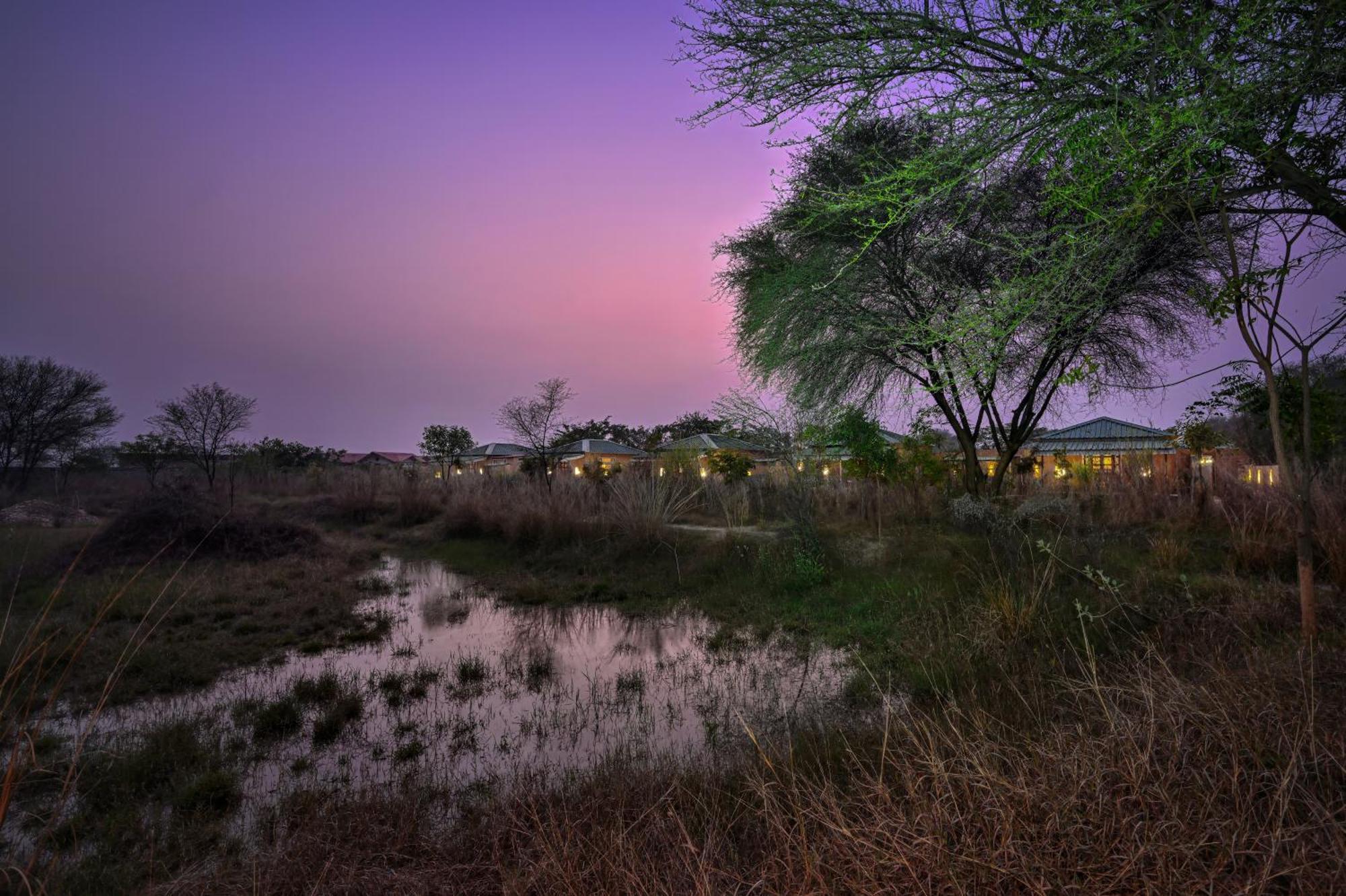Bagh Serai - Rustic Cottage With Private Pool Sawai Madhopur Exteriör bild