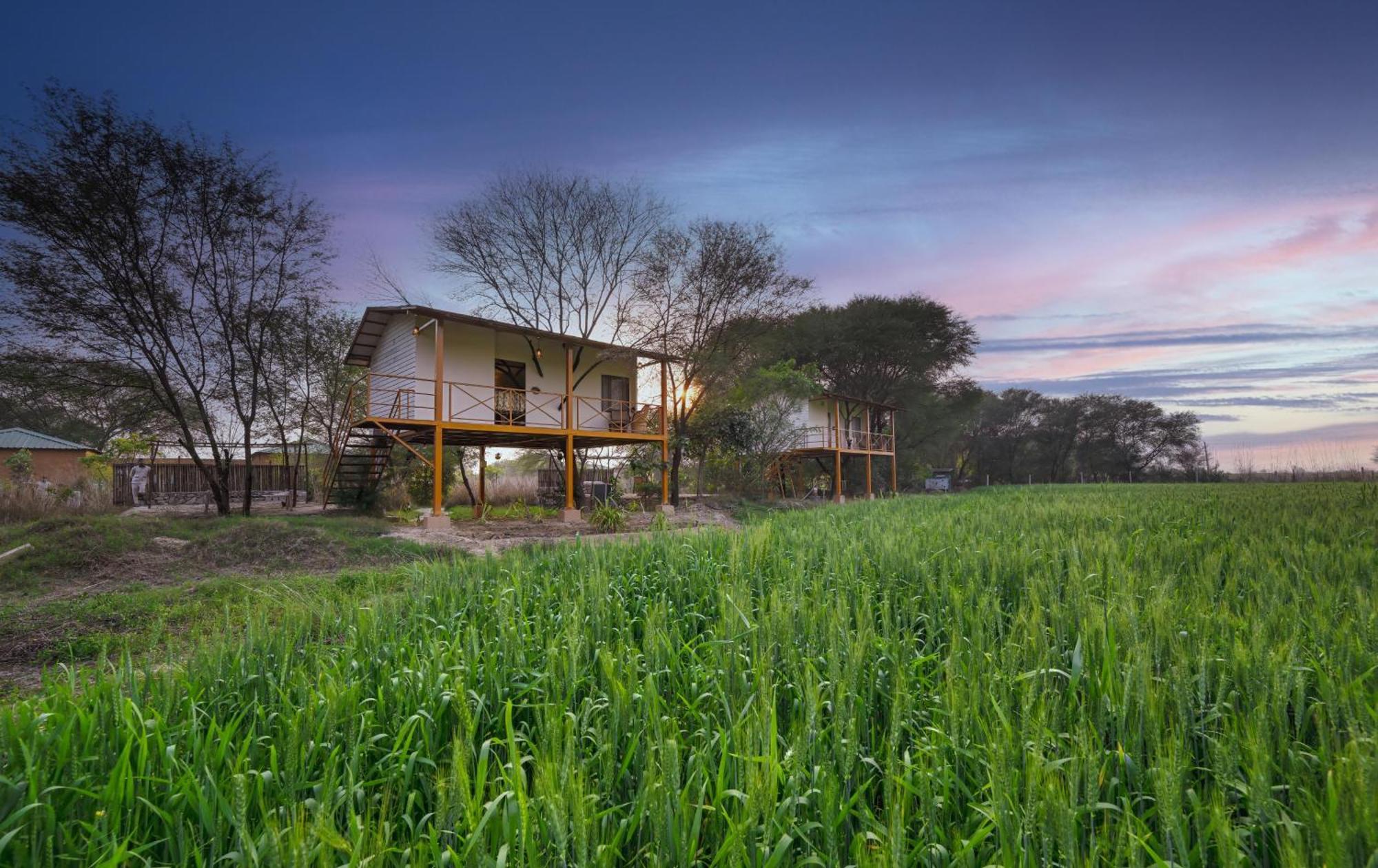 Bagh Serai - Rustic Cottage With Private Pool Sawai Madhopur Exteriör bild